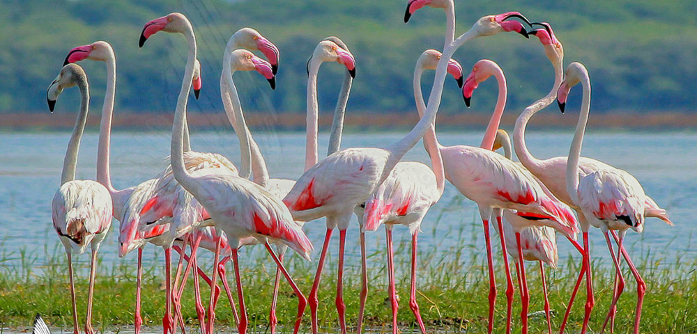 Kumana National Park