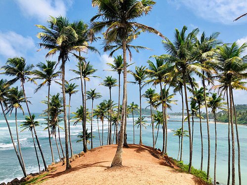Mirissa Beach