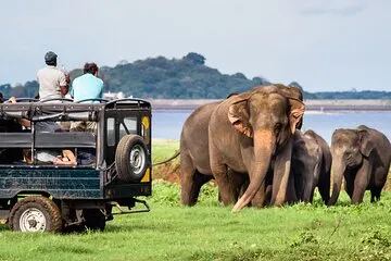 Uda Walawe National Park